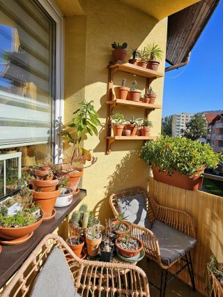 Takto môže vyzerať tvoj balkón alebo terasa v kombinácií dreva a rastlín 🌳 Páči sa ti? 🤩